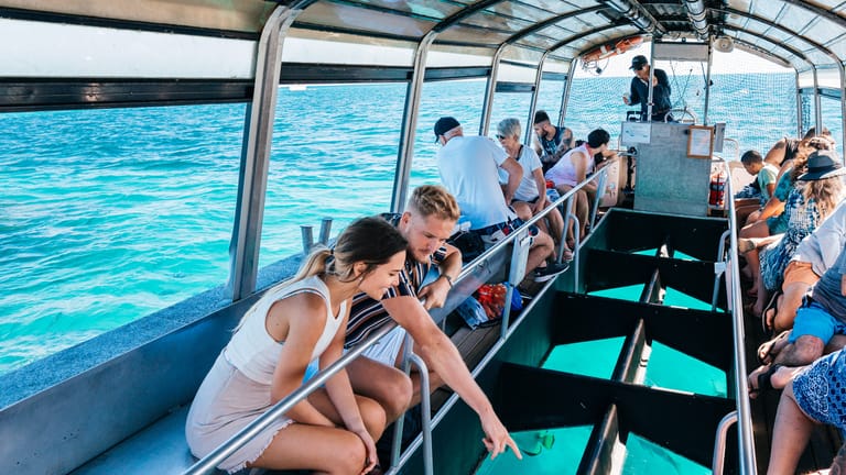 Guests pointing at large fish visible below from a glass bottom boat.