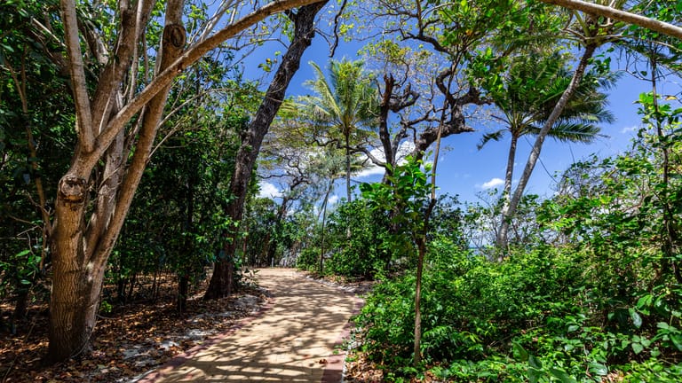Trees and shrubbery surrounds a brick footpath near the beach.